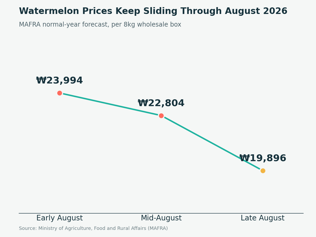 Line chart showing Korea's wholesale watermelon price sliding from ₩23,994 in early August to ₩19,896 by late August 2026, per 8kg box